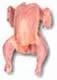 A whole chicken