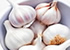 garlic - bulb veg