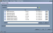video shell thumbnail 5 - click to open in a new window