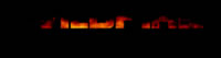 WildFire TV ident video frame 1