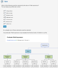 Quiz feedback