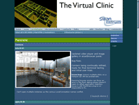 Project website